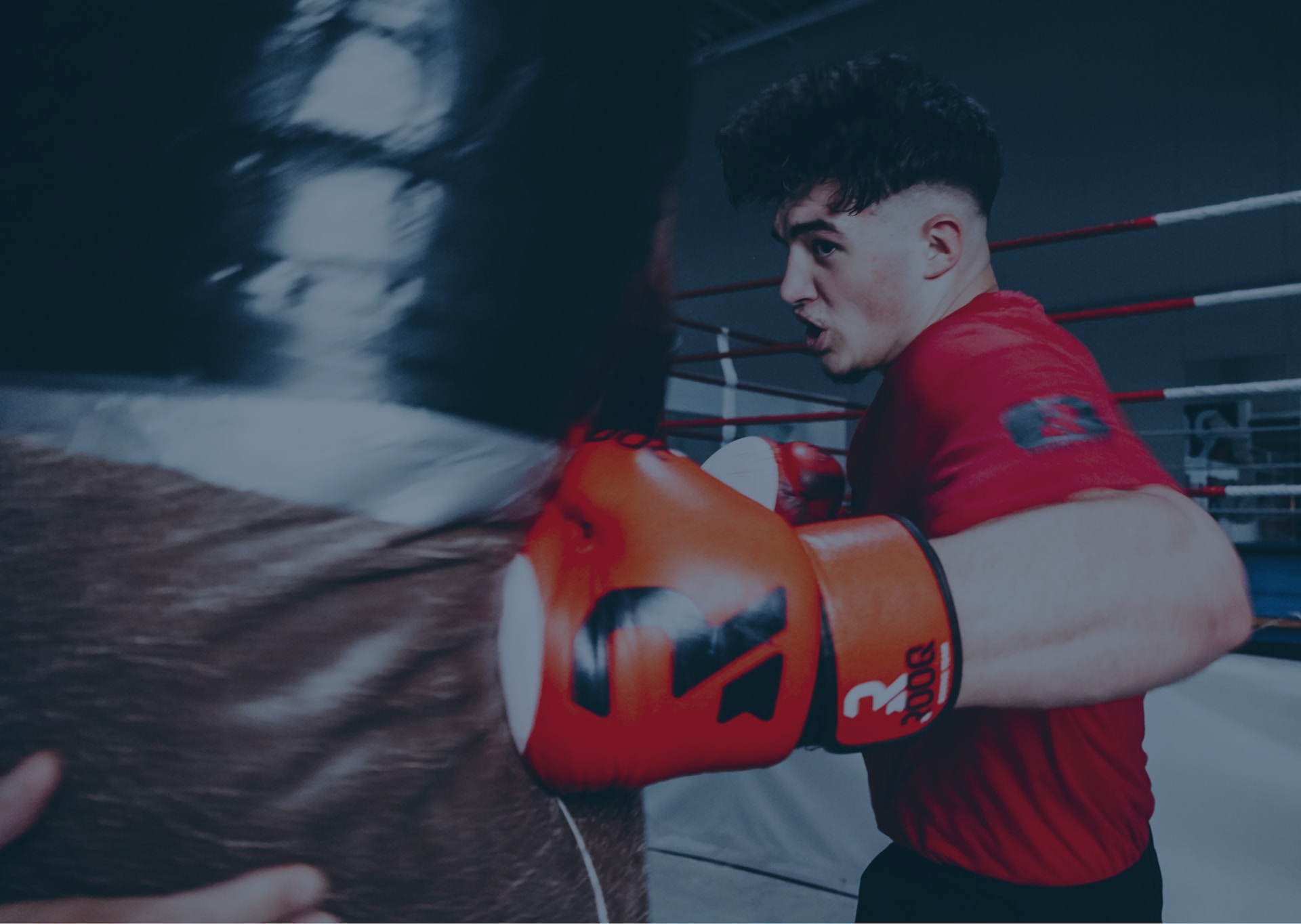 Die Besten Tipps der Fitness Influencer