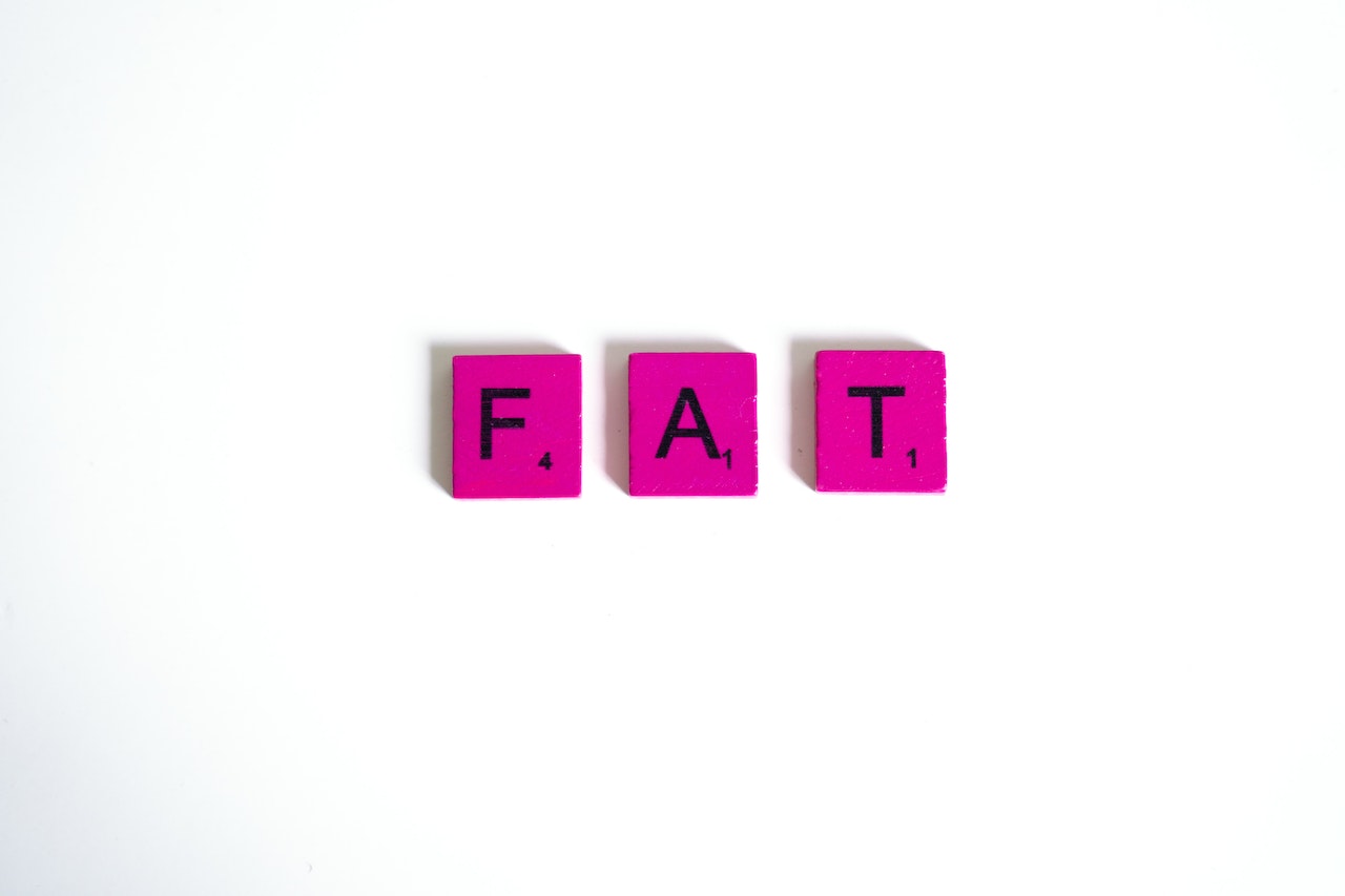 Fat Fitness Influencer