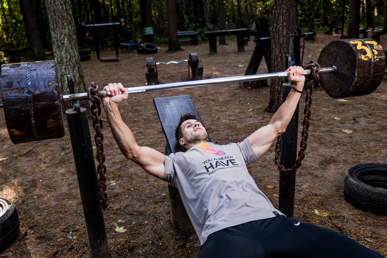 Fitness Influencer Bench