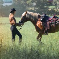 How to Become an Equestrian Influencer