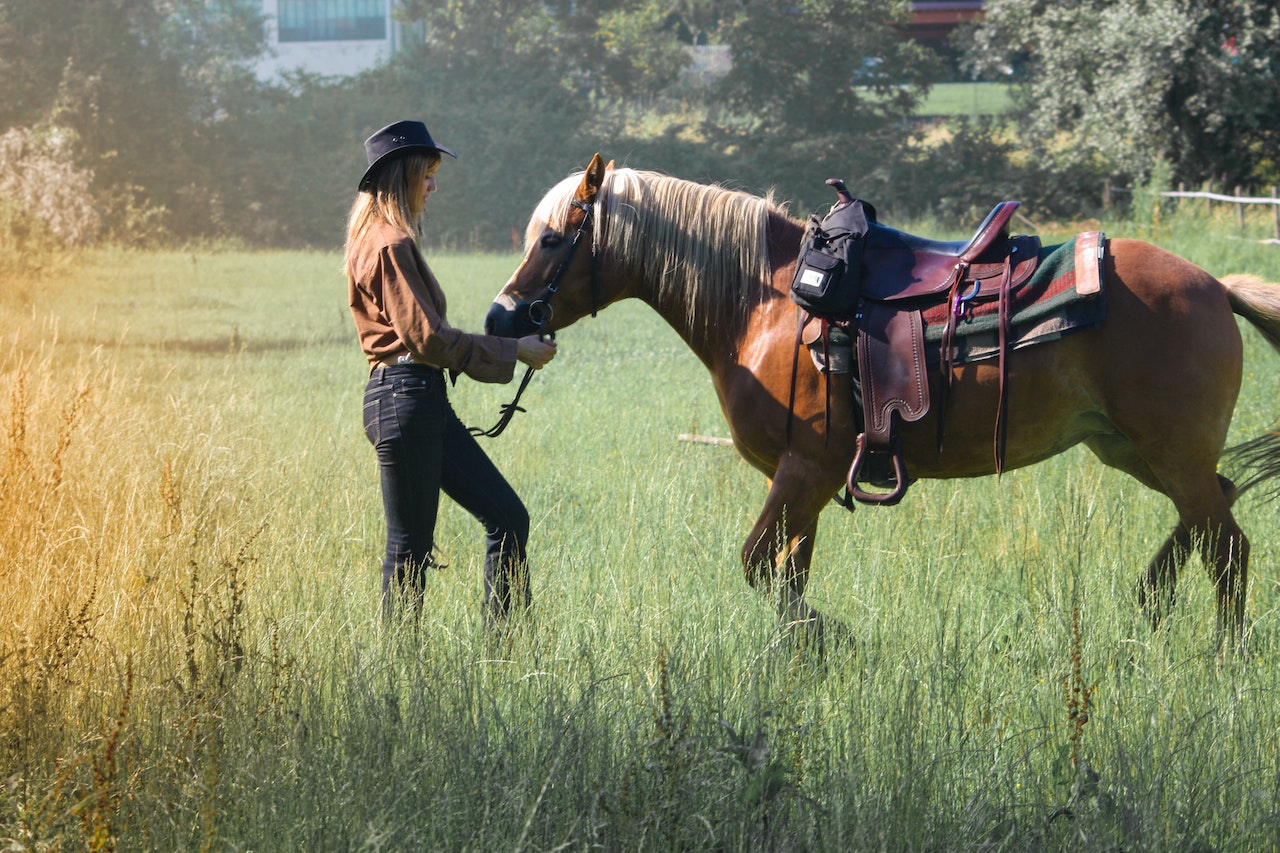 How to Become an Equestrian Influencer