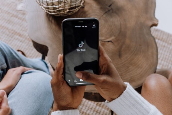 Free TikTok Influencer Search Tool