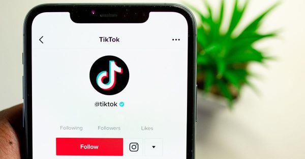 TikTok Influencer Business Account